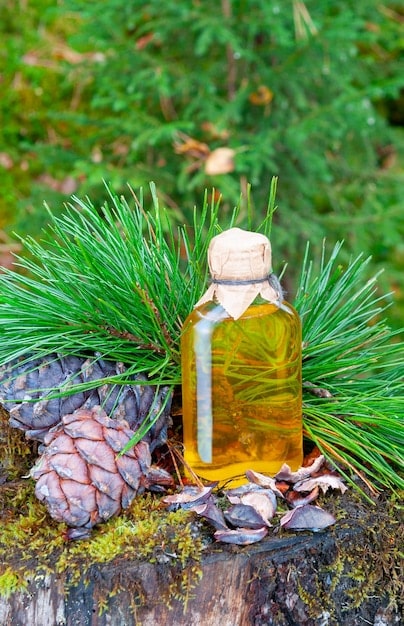 A close-up shot of a fragrance bottle with a wooden cap, surrounded by cedar branches and pine cones. The image emphasizes the natural and earthy elements of woody scents.