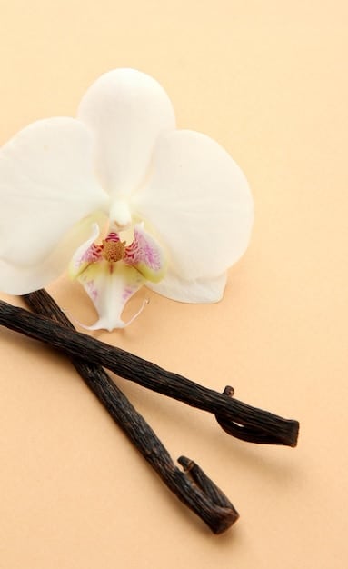A macro shot displaying a vanilla bean with a glossy sheen, positioned next to a clear bottle of perfume with a minimalist design. The lighting emphasizes the texture and color of the vanilla bean, highlighting its natural ridges and dark brown hue. The background is subtly blurred to draw focus to the main elements, symbolizing the integration of natural ingredients into luxury fragrances.
