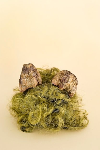 A split image showing a natural ingredient like oakmoss on one side and its synthetic alternative on the other. The natural side appears slightly faded, while the synthetic side is vibrant, illustrating the shift towards synthetic versions due to environmental regulations and ingredient availability.