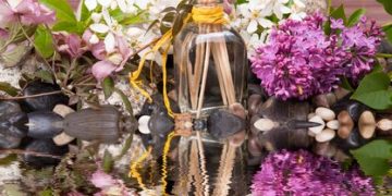 Fragrance Families Explained: Your 3-Step Guide to Finding Your Signature Scent - Cover Image